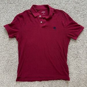 express polo short sleeve